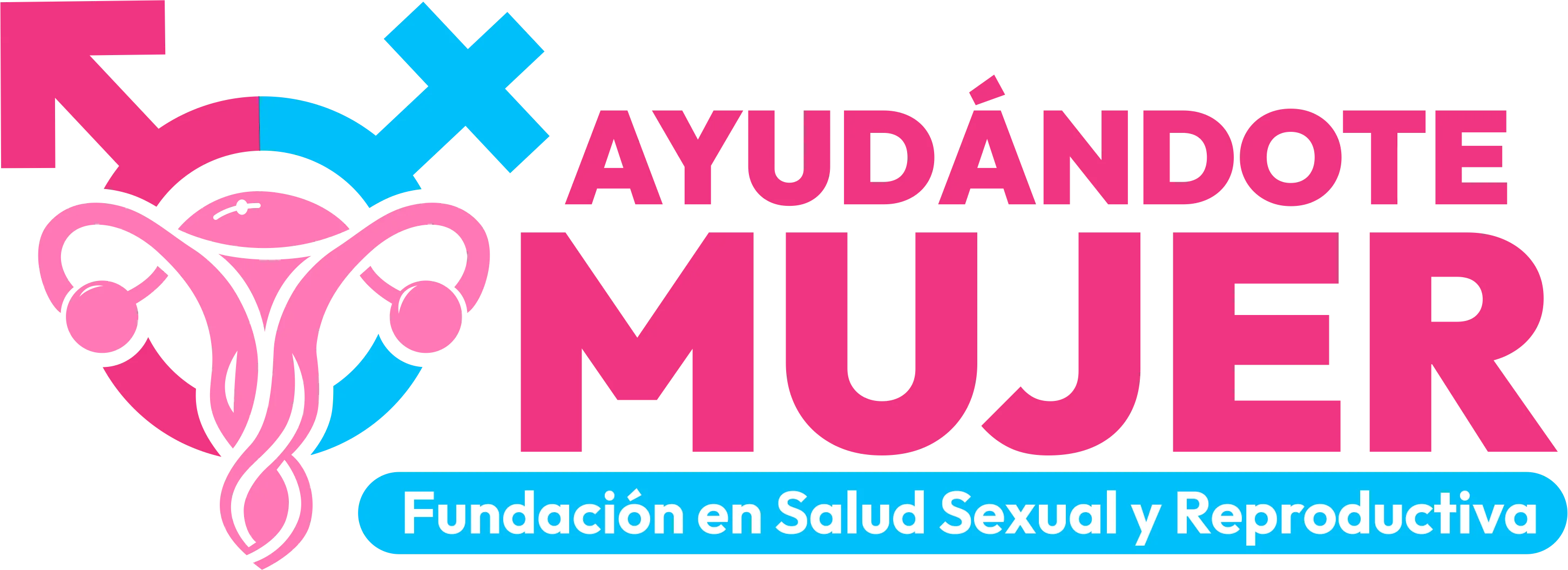 Organizador 2